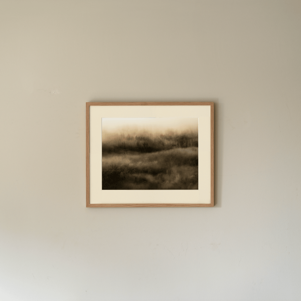 Forest Mist Framed Print
